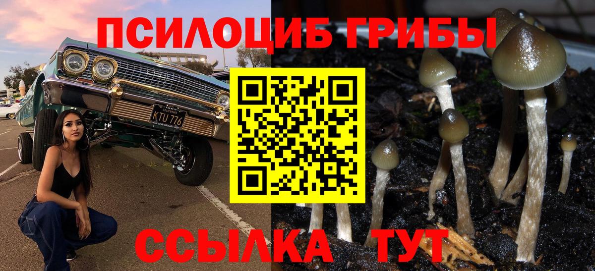 Спасск-Дальний  Псилоцибиновые грибы Cubensis  Вход с VPN  Псилоцибиновые грибы мухоморы 