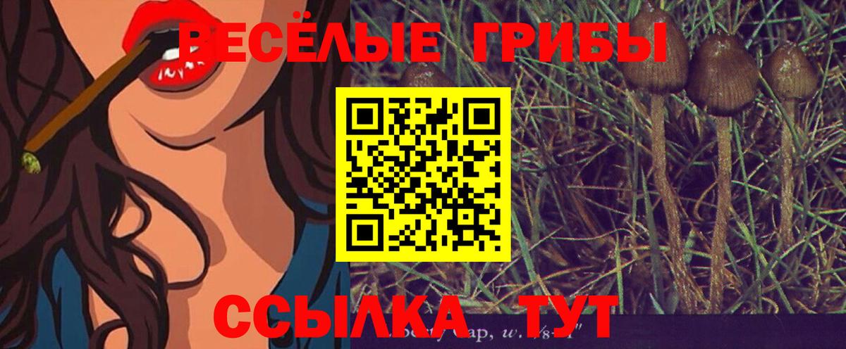Галлюциногенные грибы MAGIC MUSHROOMS Спасск-Дальний